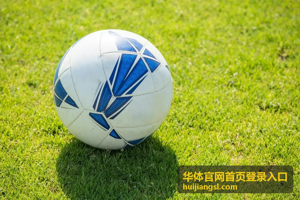 华体官网首页登录入口会员权益与开通封面